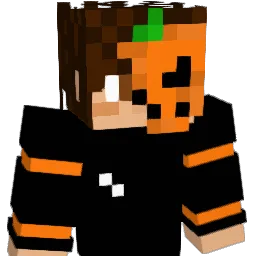 PanDynia5 Minecraft avatar bust