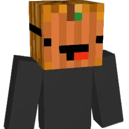 PanOrzeszek1 Minecraft avatar bust