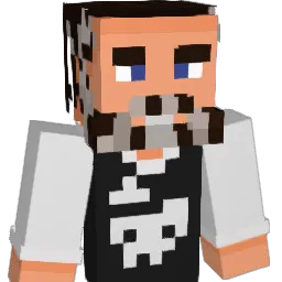 PanZerF1L Minecraft avatar bust
