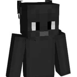 Pan__Kot Minecraft avatar bust