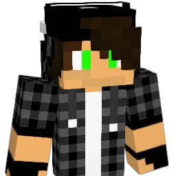 Panda4Gaming_ Minecraft avatar bust