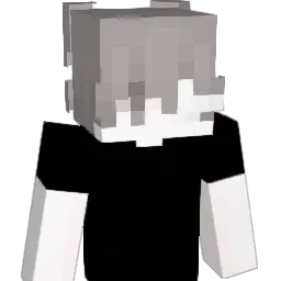 Panda5567 Minecraft avatar bust