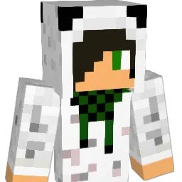 PandaBear123i Minecraft avatar bust