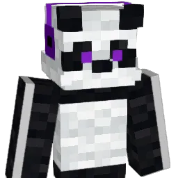 PandaGamer555's Minecraft skin