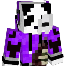 PandaMan4450 Minecraft avatar bust
