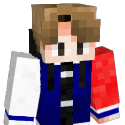 PandaSwof Minecraft avatar bust
