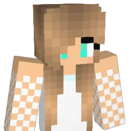 PandaTheorem's Minecraft skin