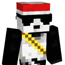 PandaWarrior100 Minecraft avatar bust