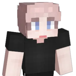 Pansa_ Minecraft avatar bust