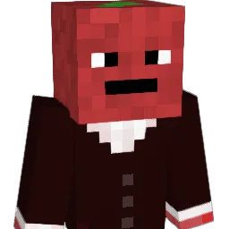 Papr1ka_006 Minecraft avatar bust