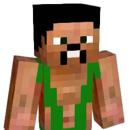 PapuFranku27 Minecraft avatar bust