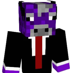 Paqua Minecraft avatar bust