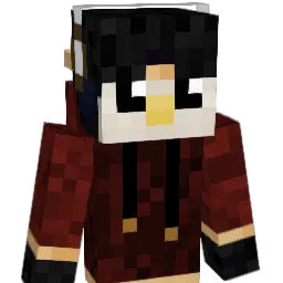 Paradoks111