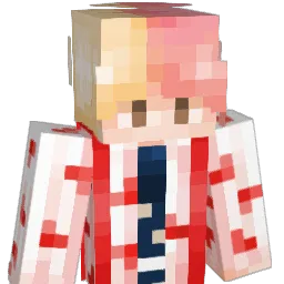 Paranjeet Minecraft avatar bust