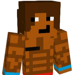 Pardhaan Minecraft avatar bust