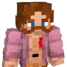 ParisTFS Minecraft avatar bust
