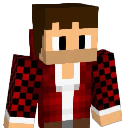 Park_and_Ride Minecraft avatar bust