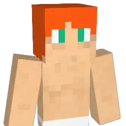 Parvinkel Minecraft avatar bust