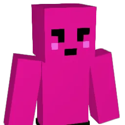 PatPat0369 Minecraft avatar bust