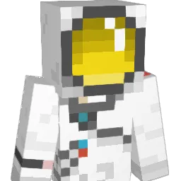 Patientt Minecraft avatar bust