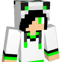 Patrick4427 Minecraft avatar bust
