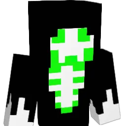 Patrickkruse02 Minecraft avatar bust
