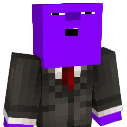 Pauliboiiii Minecraft avatar bust
