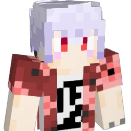 Paulo2525 Minecraft avatar bust