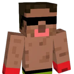 Pawello2000 Minecraft avatar bust