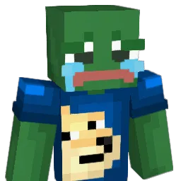 Pawels1337 Minecraft avatar bust