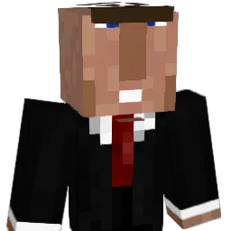 Pawlikowski1245 Minecraft avatar bust