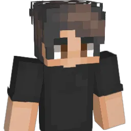 Pawlus_ Minecraft avatar bust