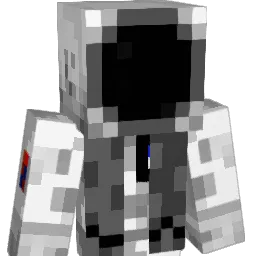 Paybks_a_bch Minecraft avatar bust