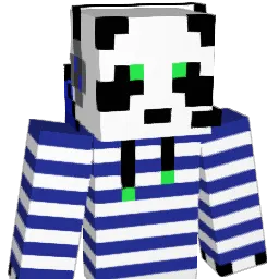 Payson307 Minecraft avatar bust