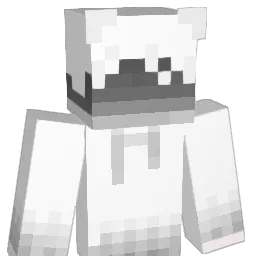 PazNic523 Minecraft avatar bust