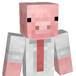 Pcikels's Minecraft skin