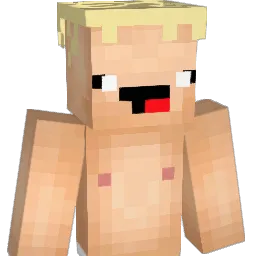 PdD20 Minecraft avatar bust