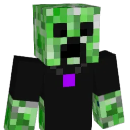 Peacer877 Minecraft avatar bust