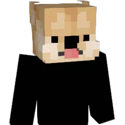 Peanur_0_ Minecraft avatar bust