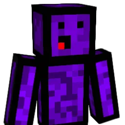 Pedrenho28 Minecraft avatar bust
