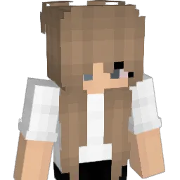 Peinliche Minecraft avatar bust