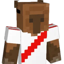 Peka_22 Minecraft avatar bust