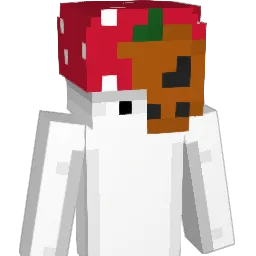 Pell1 Minecraft avatar bust