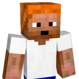 PengPara Minecraft avatar bust