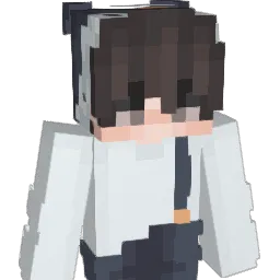 Pengingame2 Minecraft avatar bust