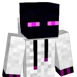 Penguin24245 Minecraft avatar bust