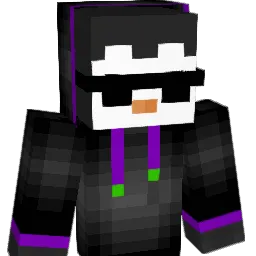 PenguinW11 Minecraft avatar bust