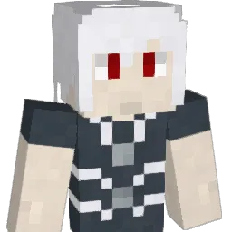 Penguin_coop Minecraft avatar bust