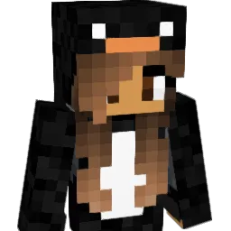 Penguinmaster956 Minecraft avatar bust