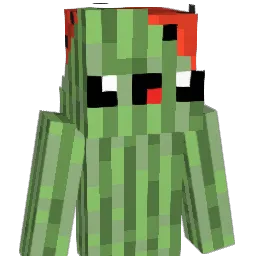 Peppel07 Minecraft avatar bust